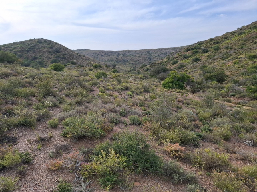  Bedroom Property for Sale in Van Wyksdorp Western Cape